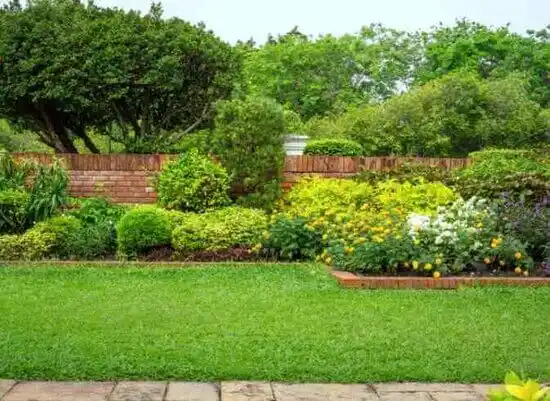 landscaping services Morehead